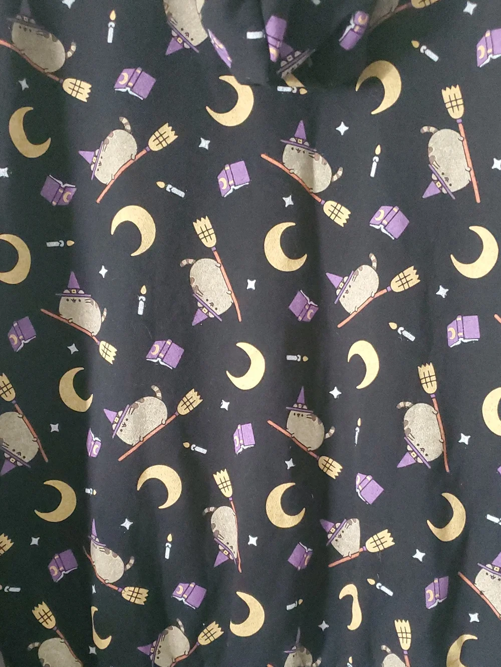 Pusheen Full Zip Hoodie